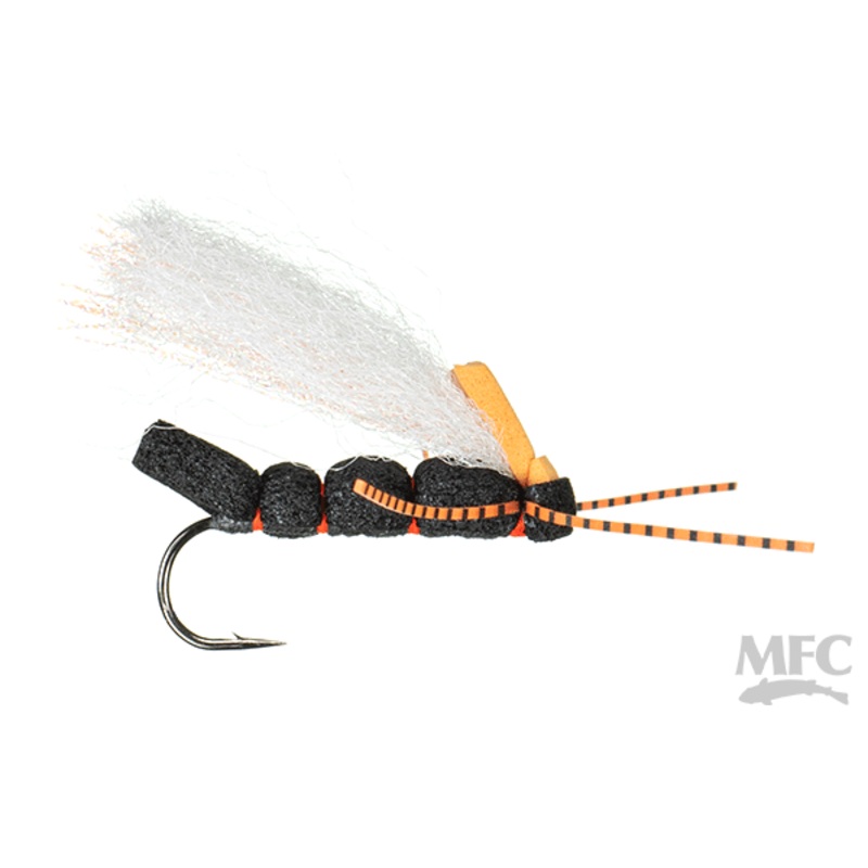MFC Cooks Cicada