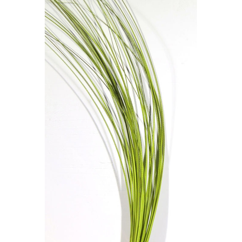 Quill Body