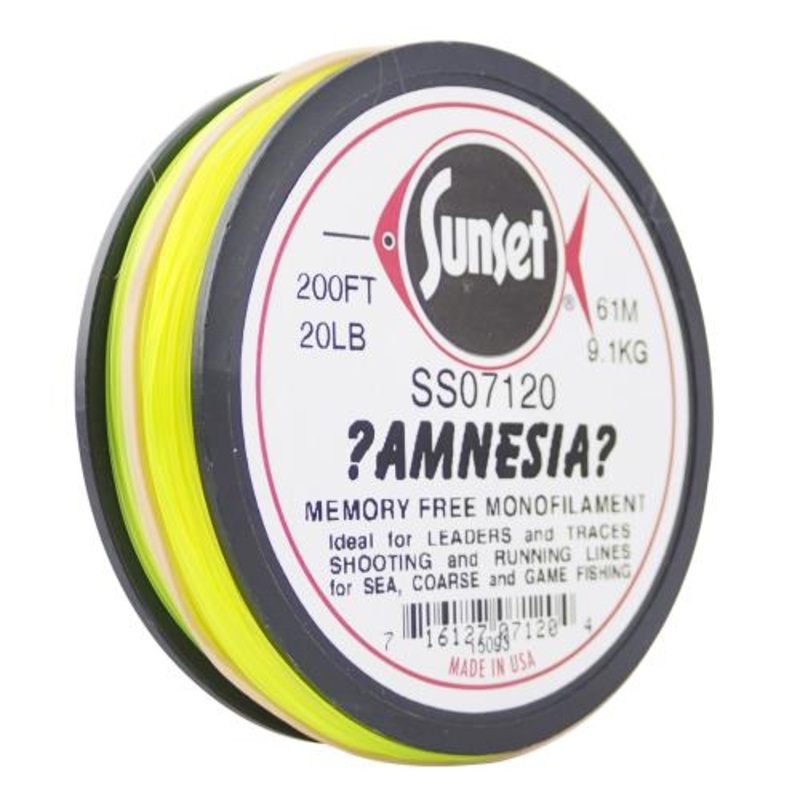 AMNESIA SHOOTING MONO