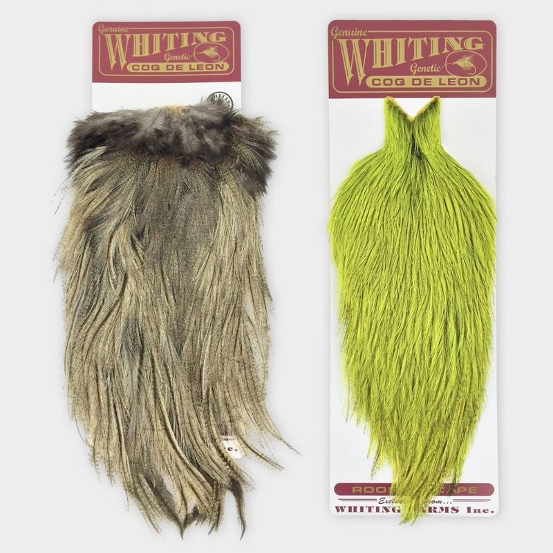 Whiting Coq de Leon Bronze Saddle