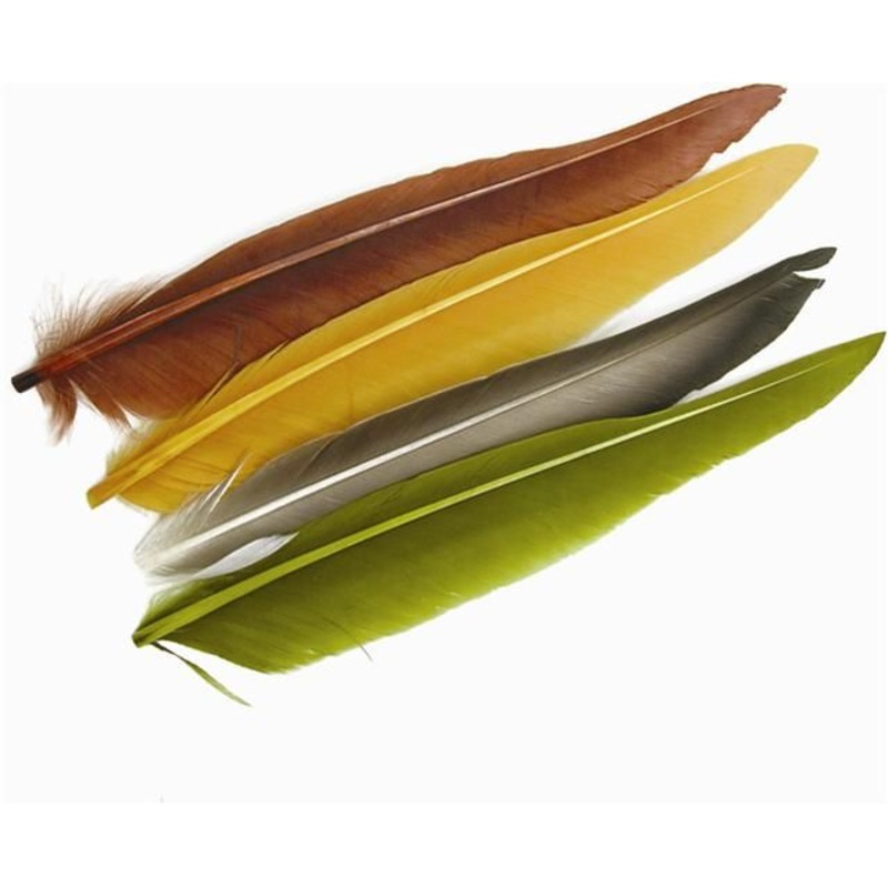 DUCK QUILL