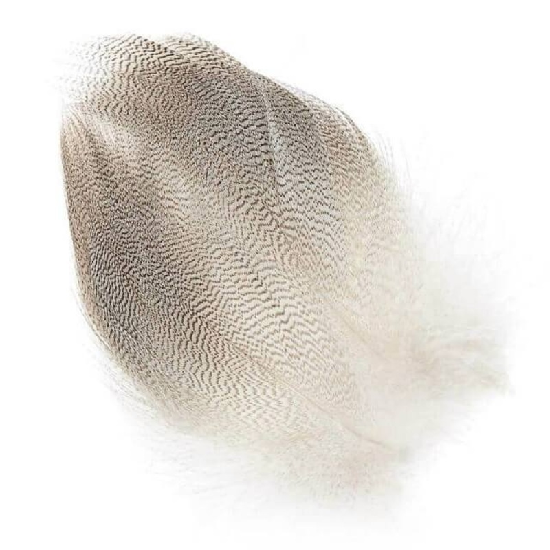 MALLARD BARRED FLANK