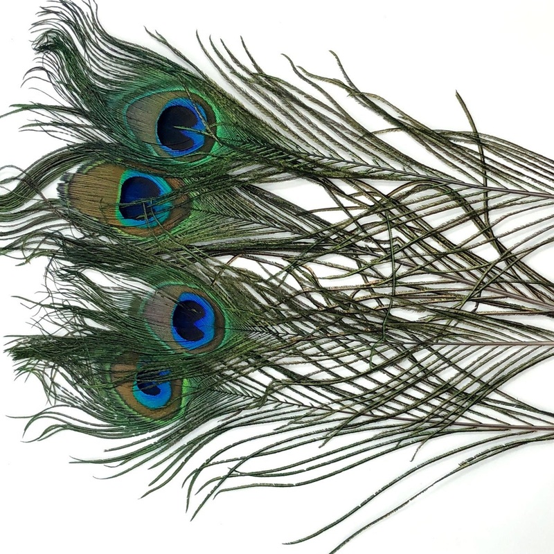 PEACOCK EYES