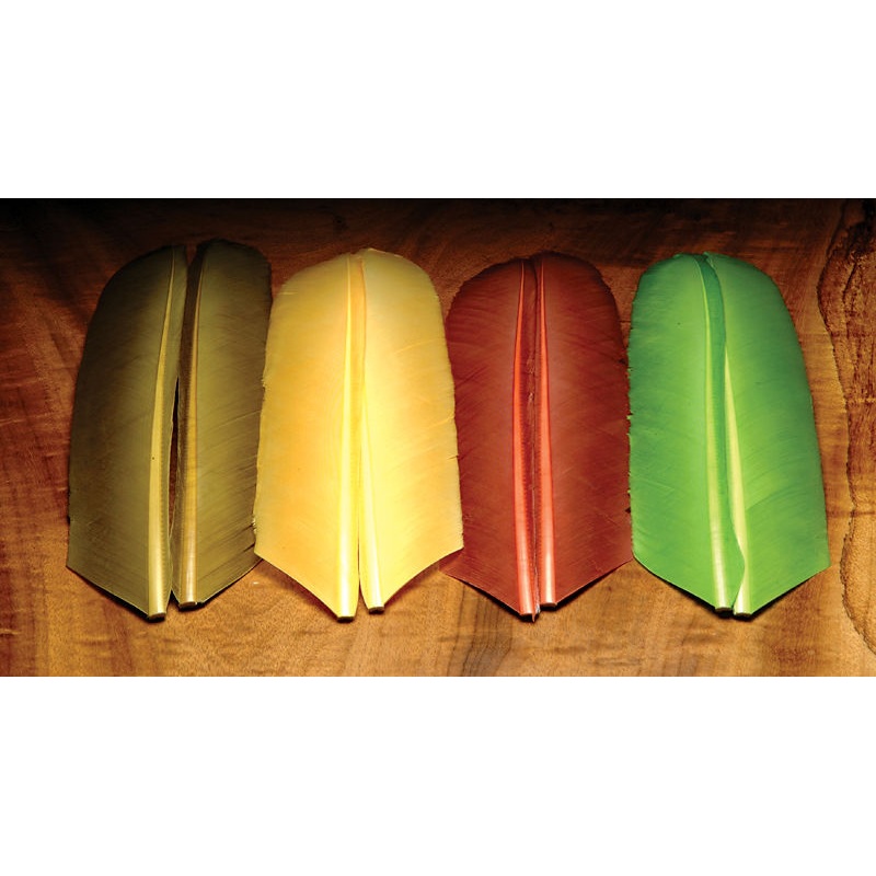 Turkey Biot Quills