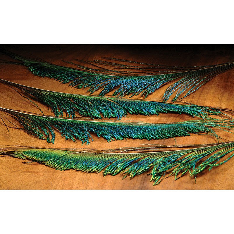 Peacock Sword
