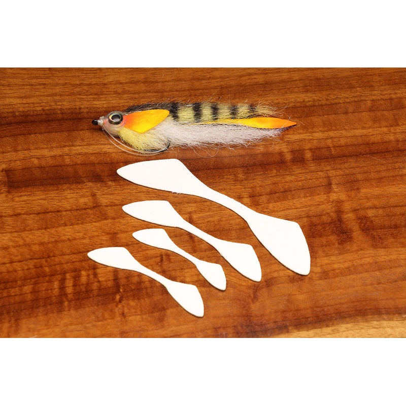 Cohens Minnow Fin