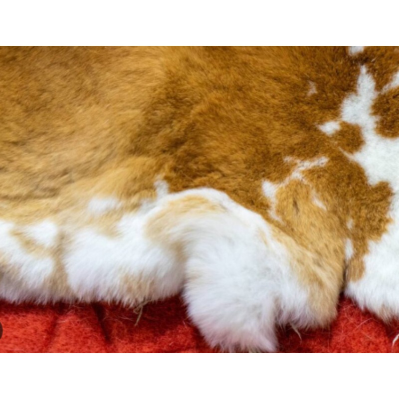 Rabbit Hide - Ed'S Hides (Tan To Cream) Large Piece