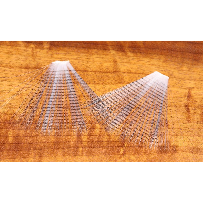 Barred Mayfly Tails