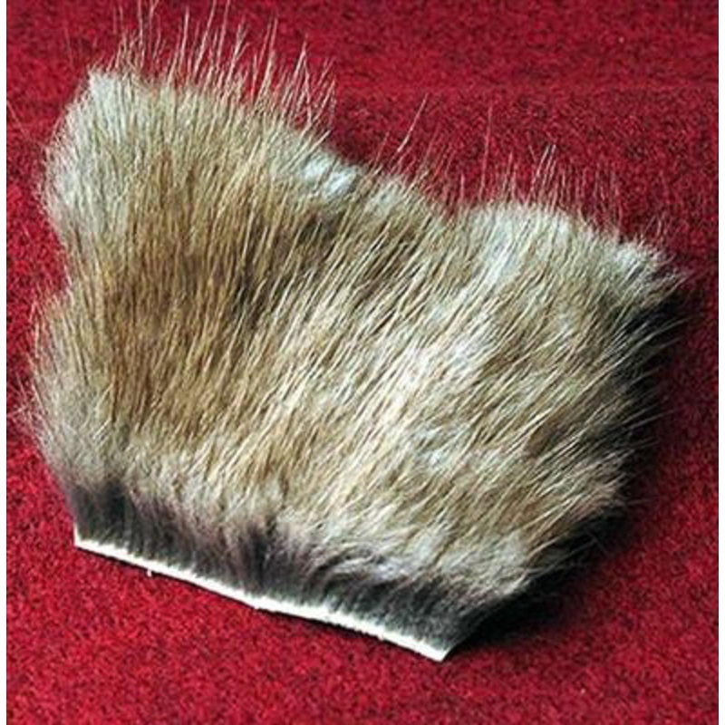 Genuine Muskrat On The Skin