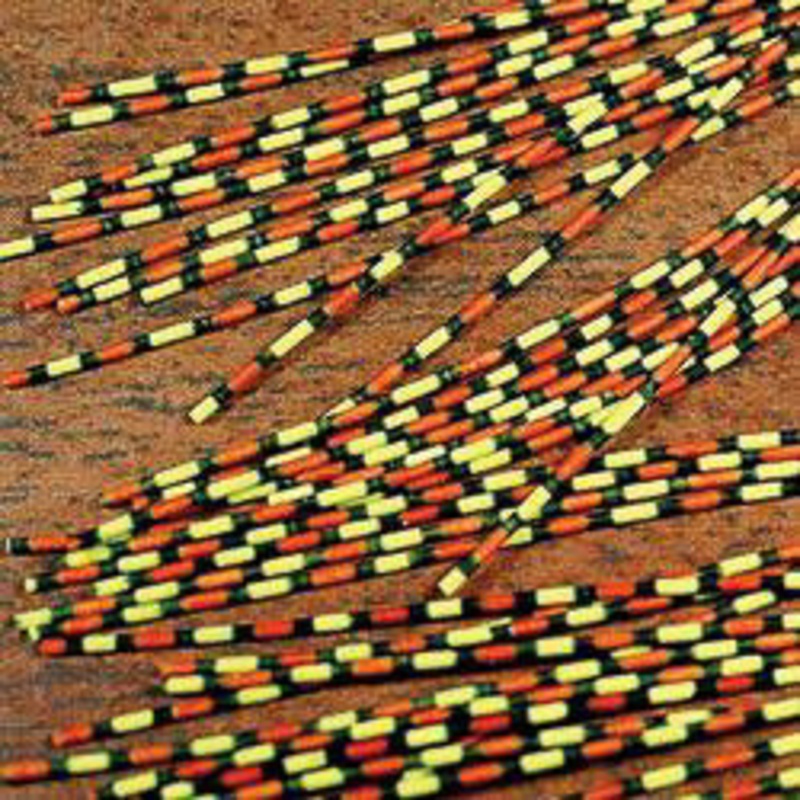 MFC Speckled Centipede - Barred