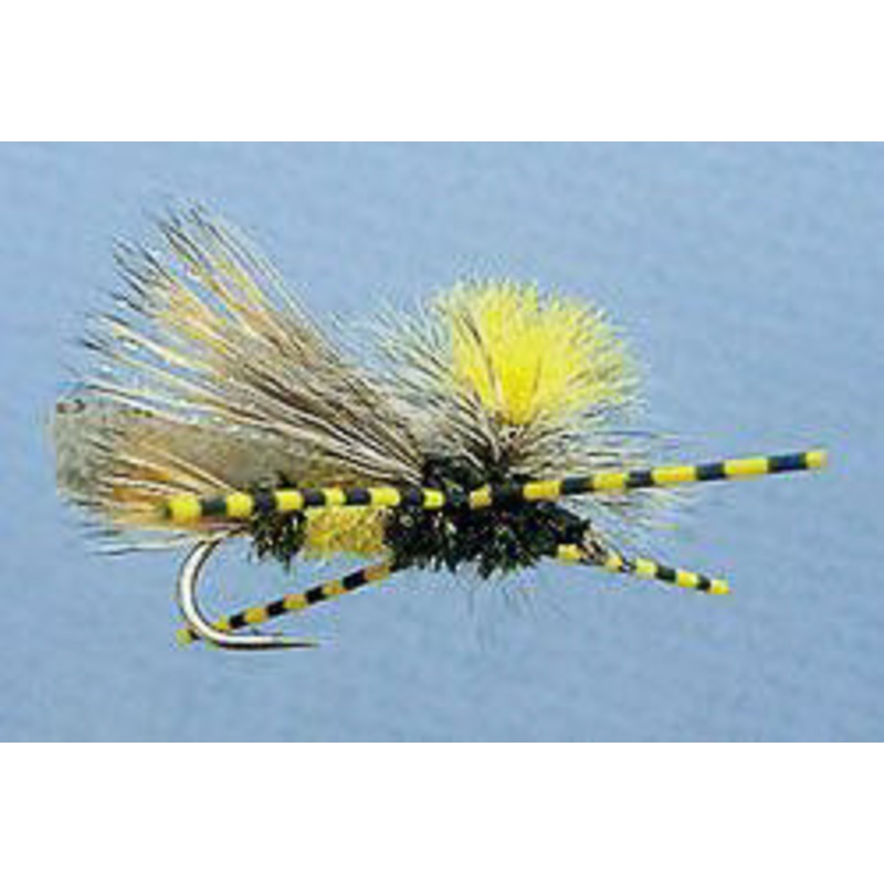 MFC Speckled Centipede Legs - Black Barred