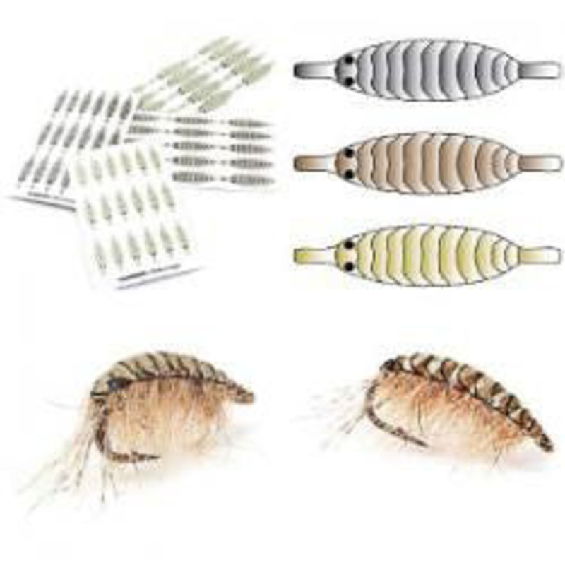Pro Gammarus Scud/Nymph Shells