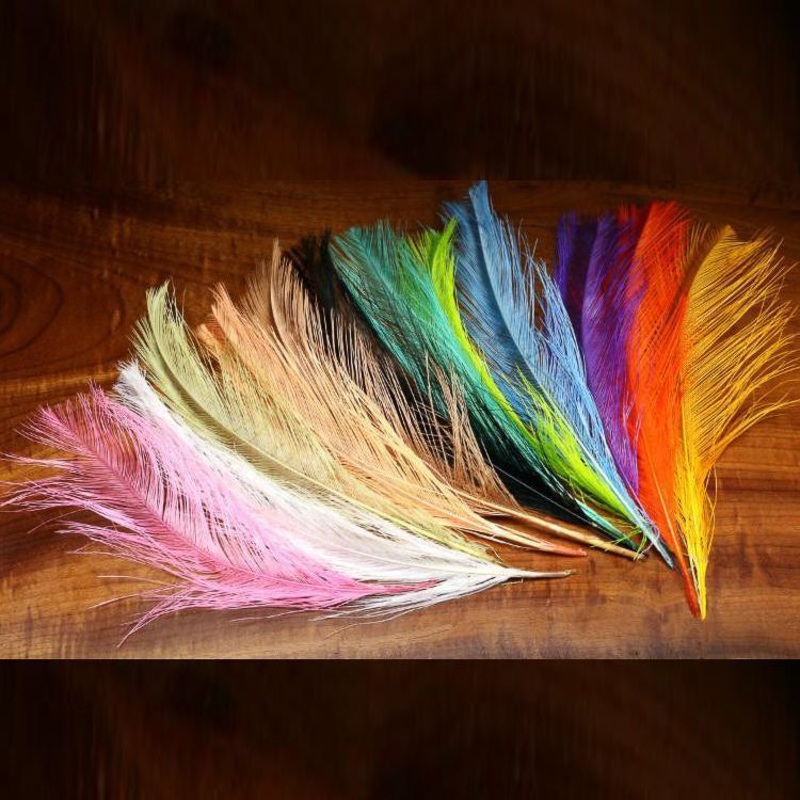 Raptor Hackle