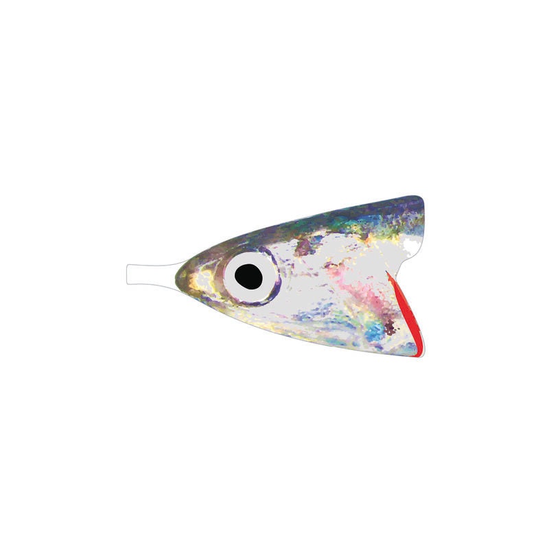 Pro Anchovy Foils
