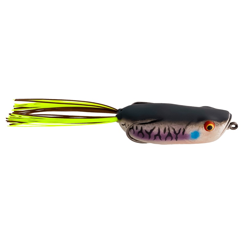 Toad Thumper Bad Gill  Swamper