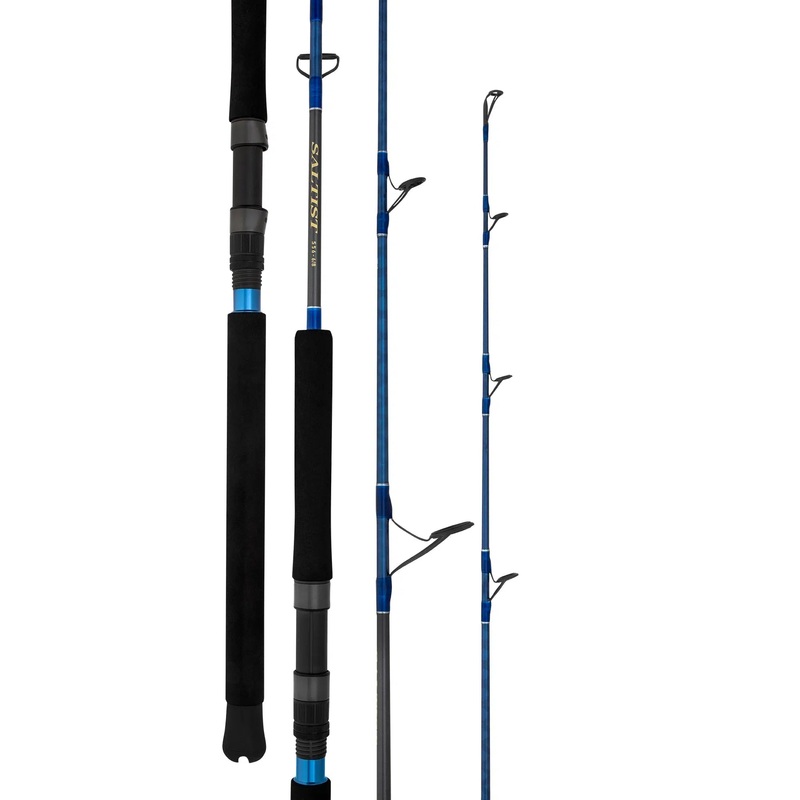 Daiwa 23 Saltist Rod