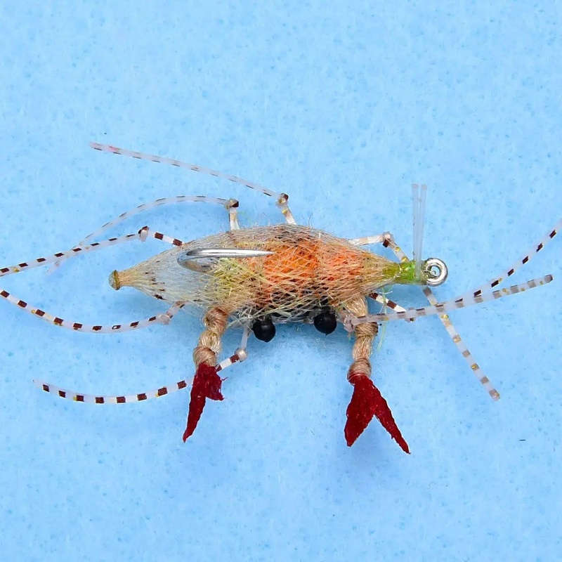 Enrico Puglisi Soft Shell Fly
