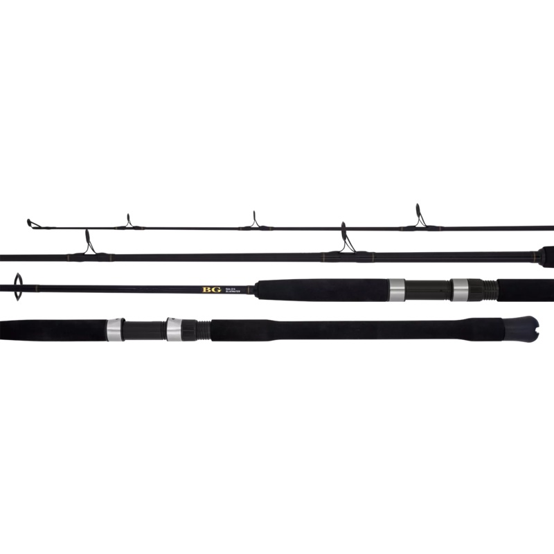 Daiwa 22 BG Bluewater Rod