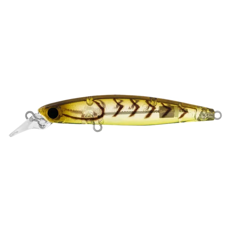 Daiwa Infeet Sazanami 60SP