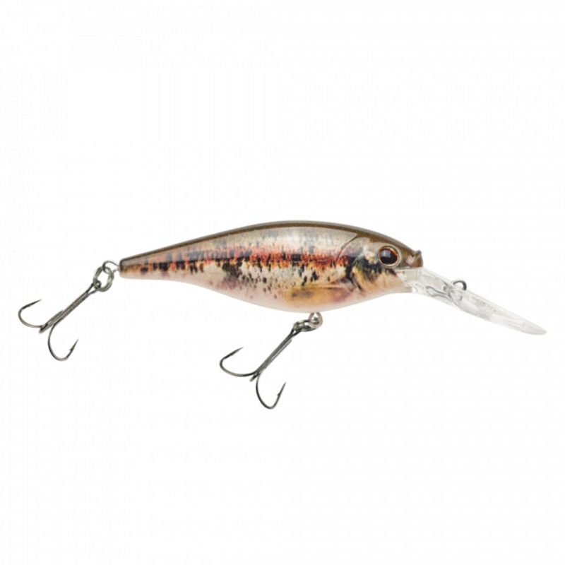 Flicker Shad | 3/16 oz | 2in | 5cm | 8 | 9'-11' | 2.7m-3.4m | Model #FFSH5M-HDBND