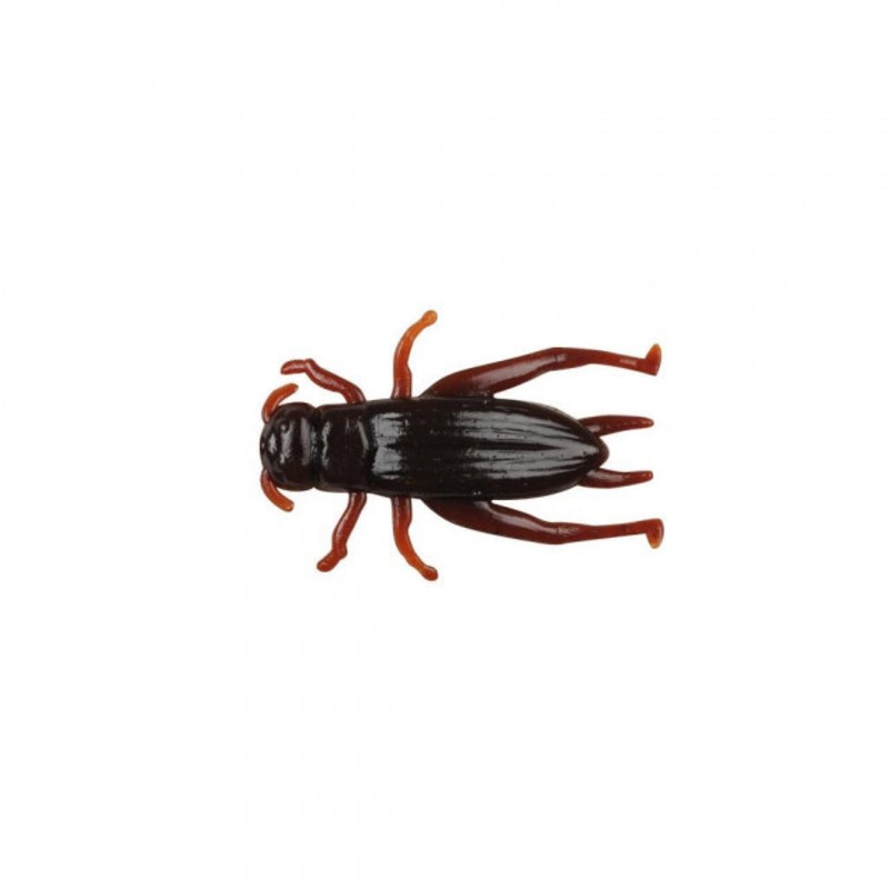 Gulp! Alive! Cricket