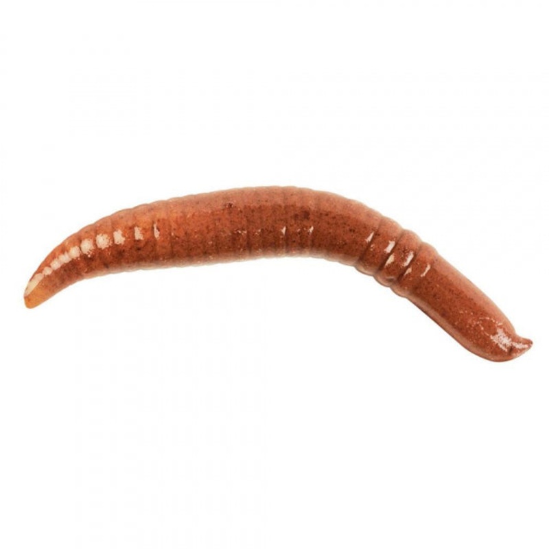 Gulp! Pinched Crawler