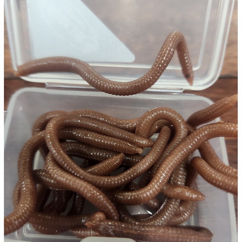 Hookem Soft Plastic Worm Fishing Bait