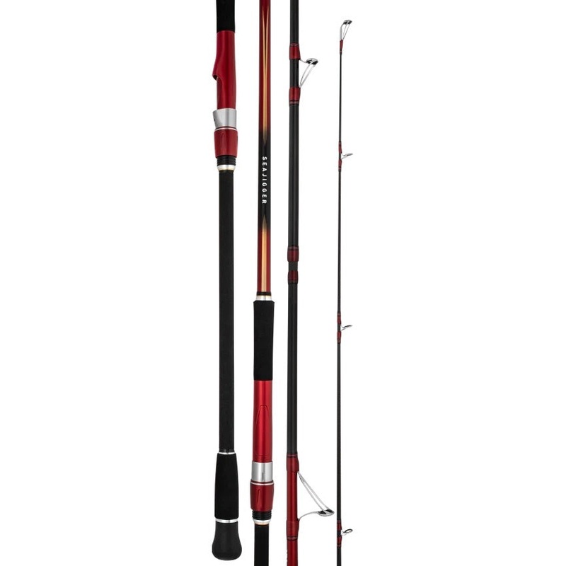Daiwa 23 SEAJIGGER 1002M Surf Rod 10'0" 4-8kg 2 pc